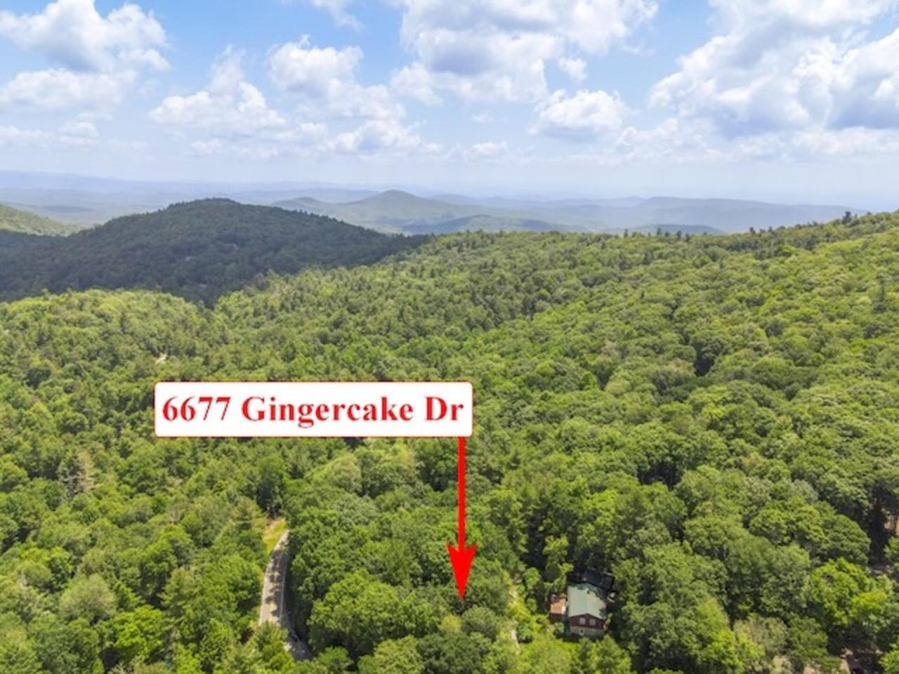 Gingercake Mtn Cottage At Linville Gorge - Wood Burning Fireplace Linville Falls 外观 照片